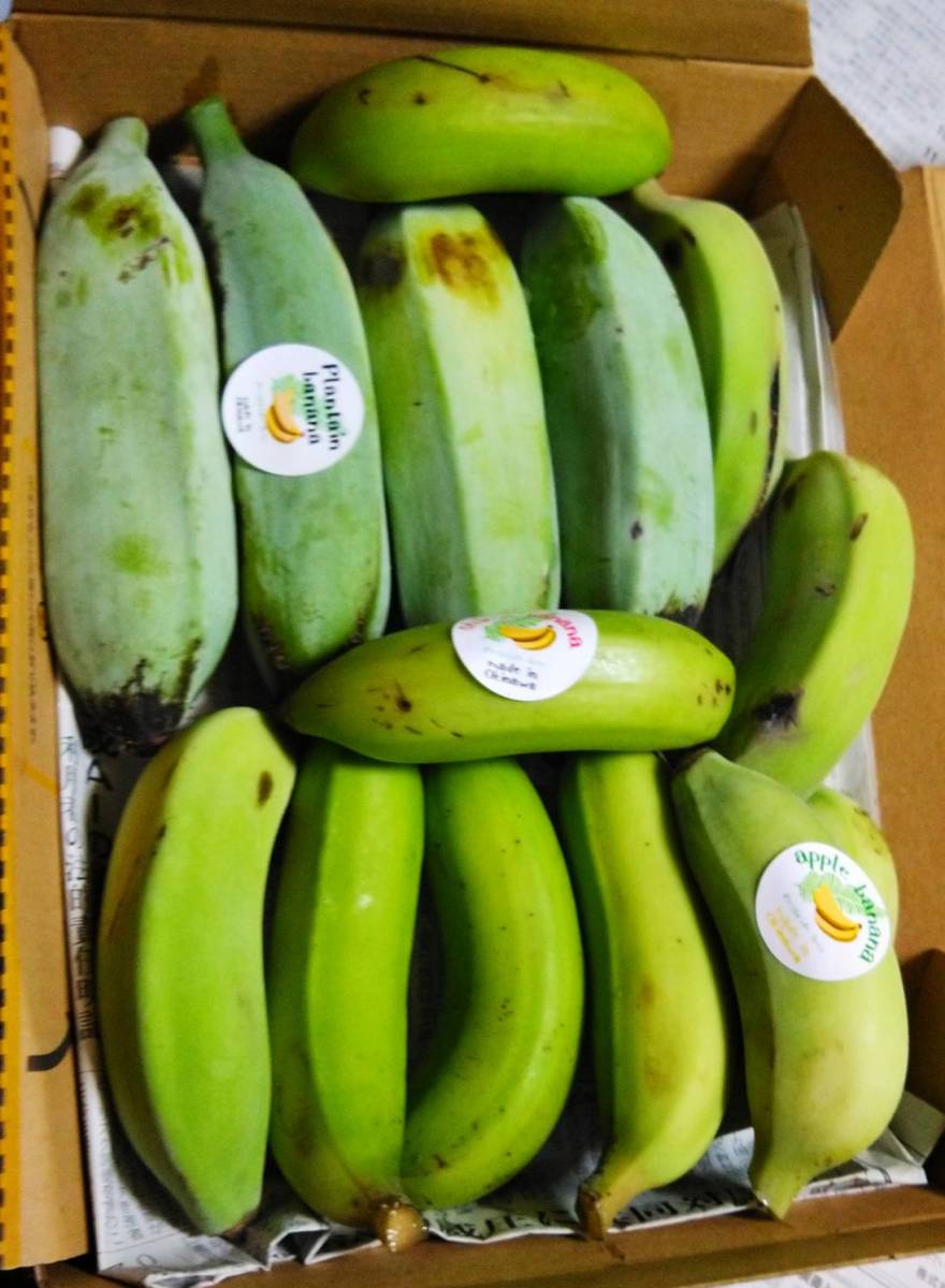 沖縄本島北部産！人気の国産バナナ３種！食べ比べ！３種バナナセット！の画像4