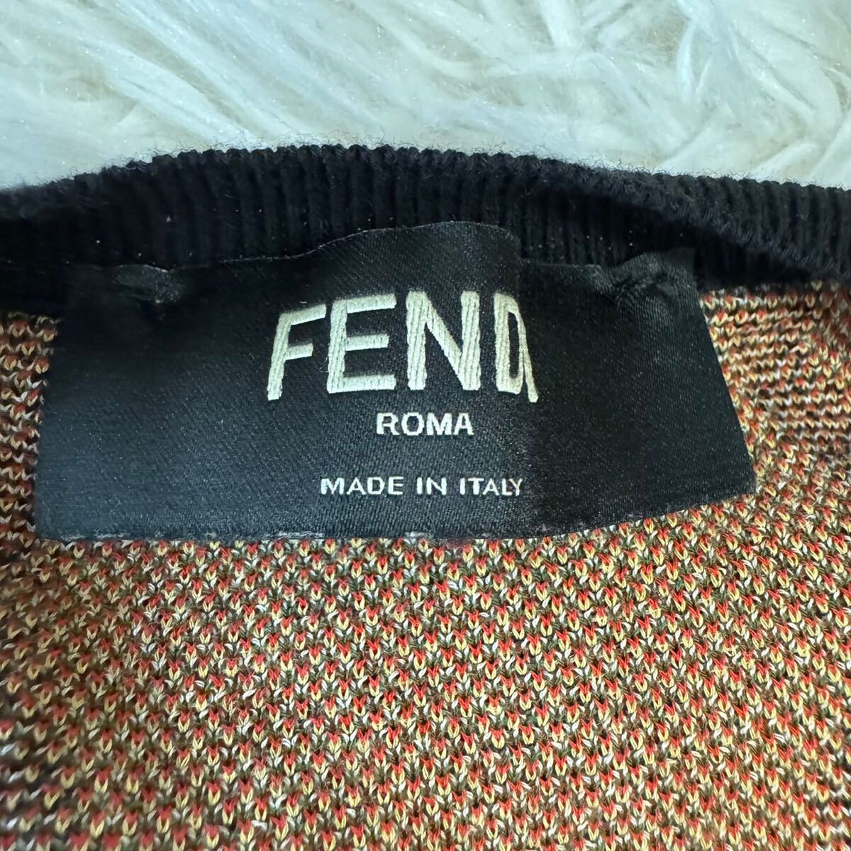 FENDI フェンディ　薄手ニット　セーター　スネーク　トップス　46 Sサイズ　メンズ　即決_画像5