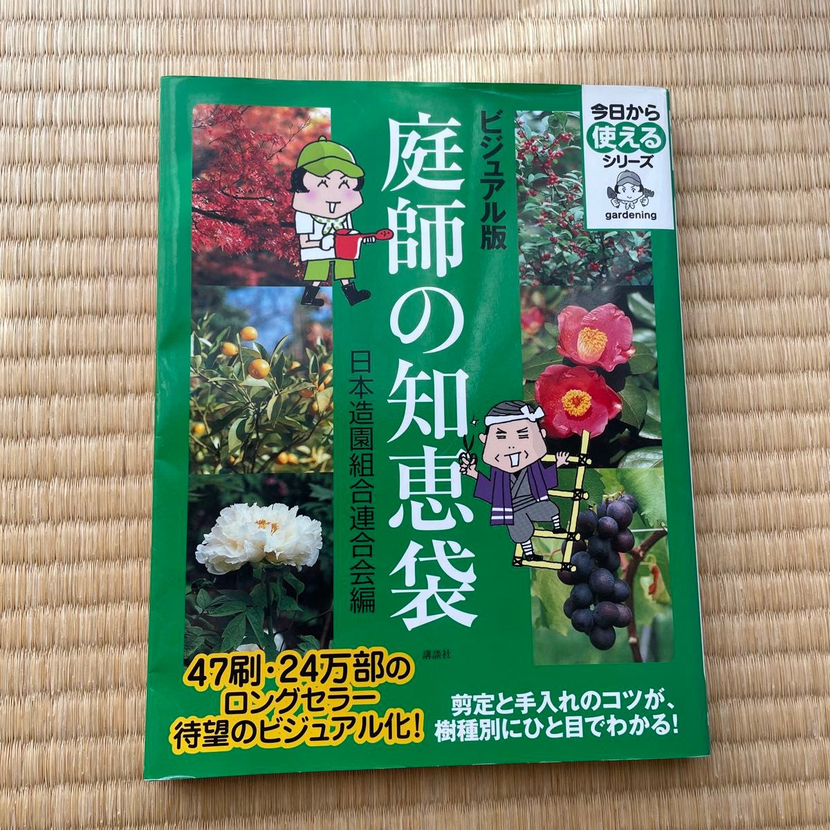 庭師の知恵袋　ビジュアル版 （今日から使えるシリーズ　ｇａｒｄｅｎｉｎｇ） 日本造園組合連合会／編