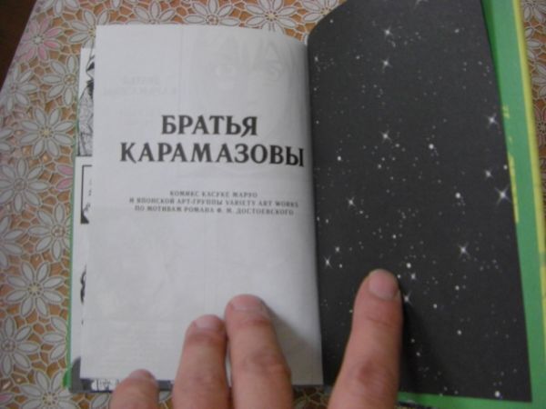  русский язык иностранная книга манга ф. м. достоевского Братья Карамазовы Dostoevsky ka лама -zof. родственная B2