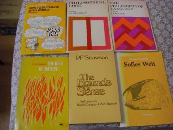 英文哲学洋書 36冊 Wittgenstein、Popper、Descartes、Susan Sontag、Heidegger、Robert Audi、P.E.Strawson 他 C16_画像6