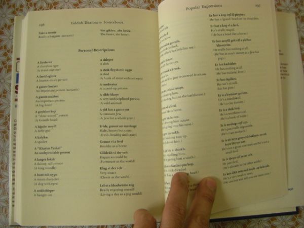 洋書 The Yiddish dictionary sourcebook : a transliterated guide to the Yiddish language イディッシュ語辞典 C13の画像10