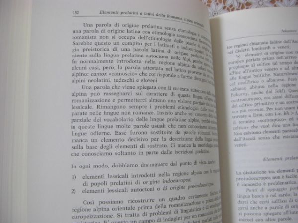 フランス語洋書 International congress of Romance Linguistics and Philology zen 7冊揃 ロマンス言語学 C5の画像10