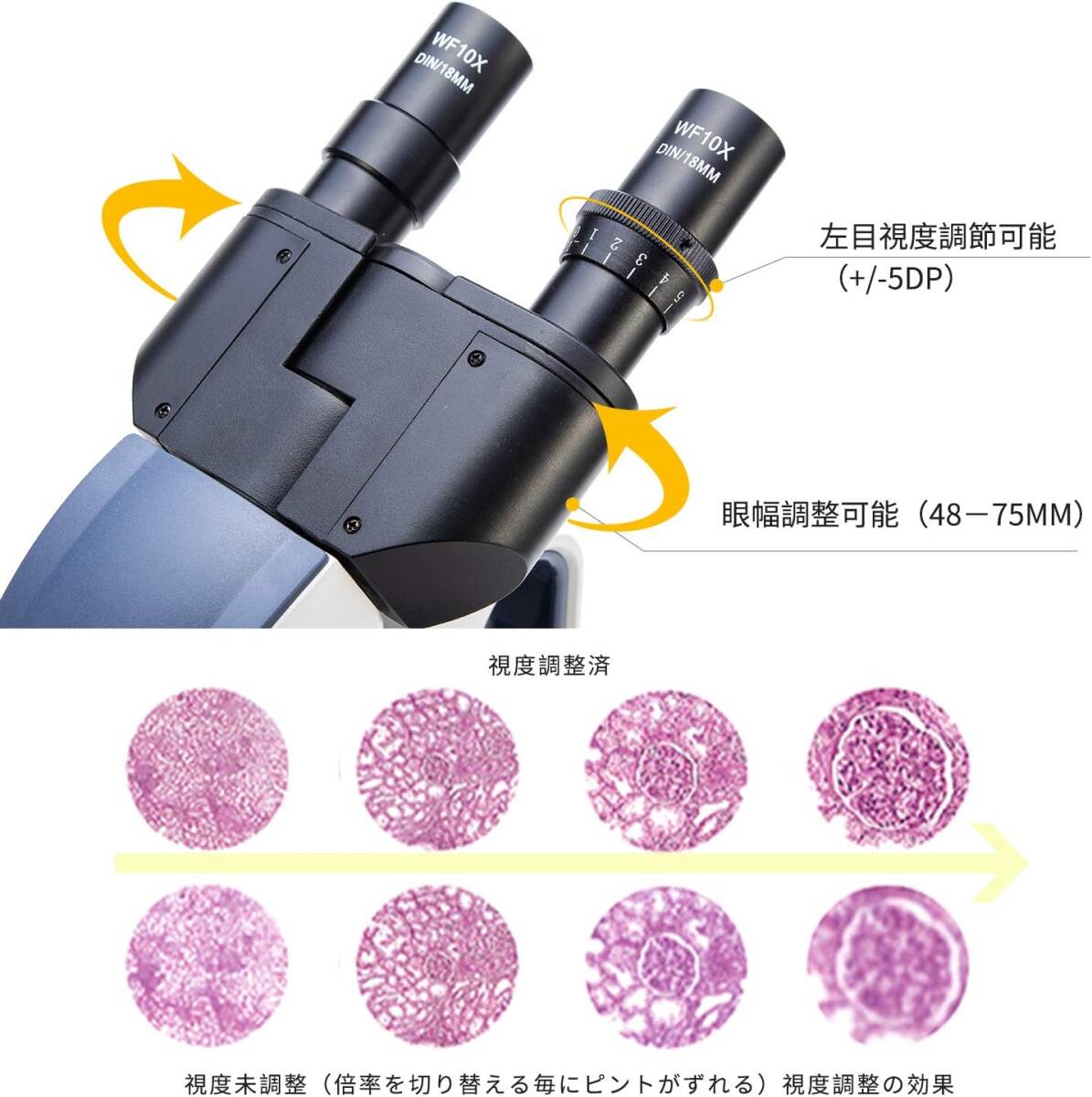 双眼 両眼タイプ生物顕微鏡 最大2500X拡大 ジーデントップ式30度 双眼 両眼タイプ生物顕微鏡 最大2500X拡大 ジーデントップ式30度