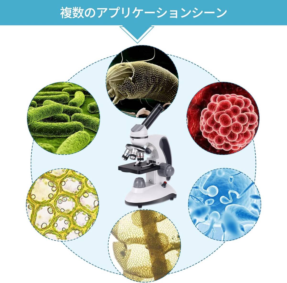 電子顕微鏡 複合単眼顕微鏡 40から2000倍拡大 広角接眼鏡10X25 X 電子顕微鏡 複合単眼顕微鏡 40から2000倍拡大 広角接眼鏡10X25 X