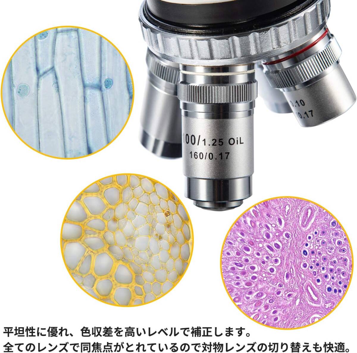 双眼 両眼タイプ生物顕微鏡 最大2500X拡大 ジーデントップ式30度 双眼 両眼タイプ生物顕微鏡 最大2500X拡大 ジーデントップ式30度