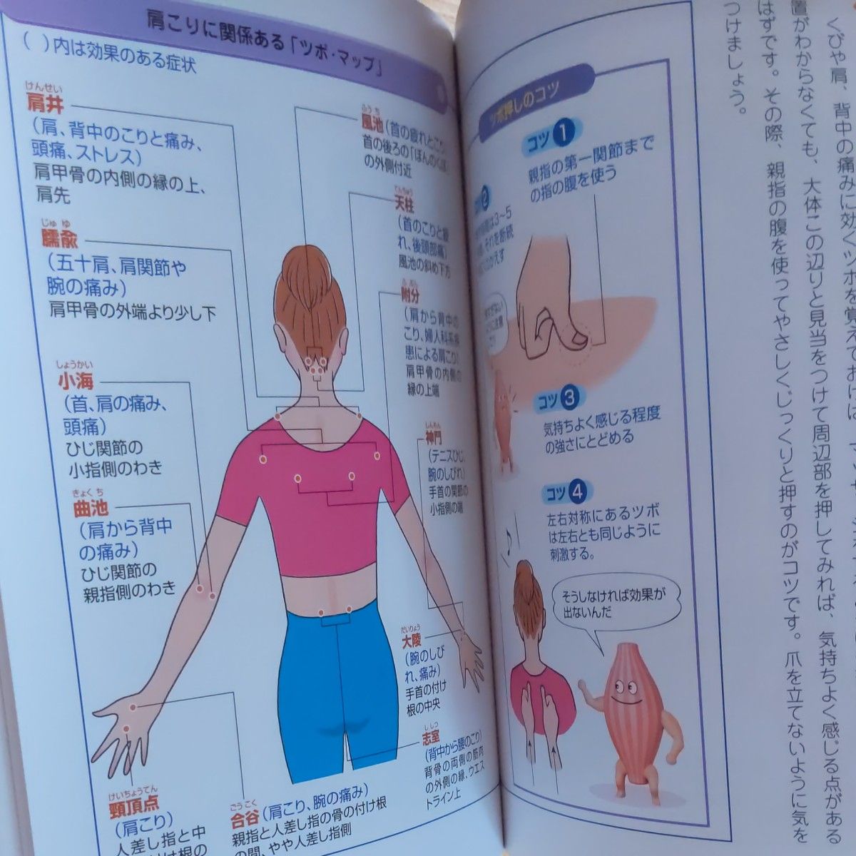 スーパー図解くび・肩・背中の痛み　不快な症状を消し去る生活処方と最新治療 （トップ専門医の「家庭の医学」シリーズ） 星川吉光／監修