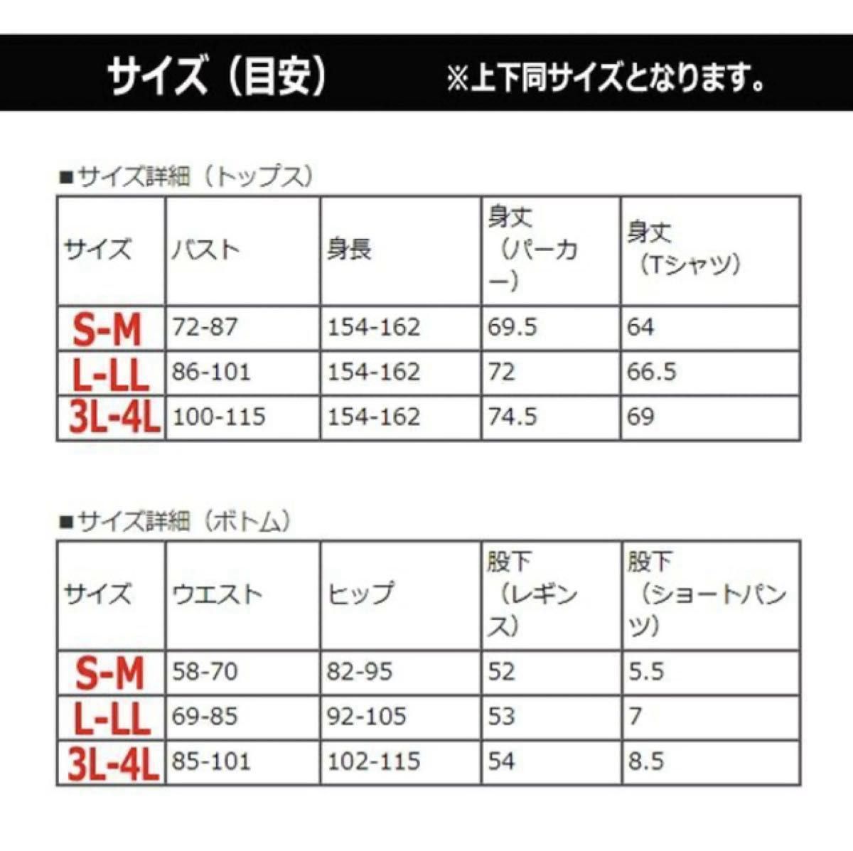 ジャージ 上下セット セットアップ　スイムウェア　ジムウェア　スポーツ　レギンス　L〜LLサイズ