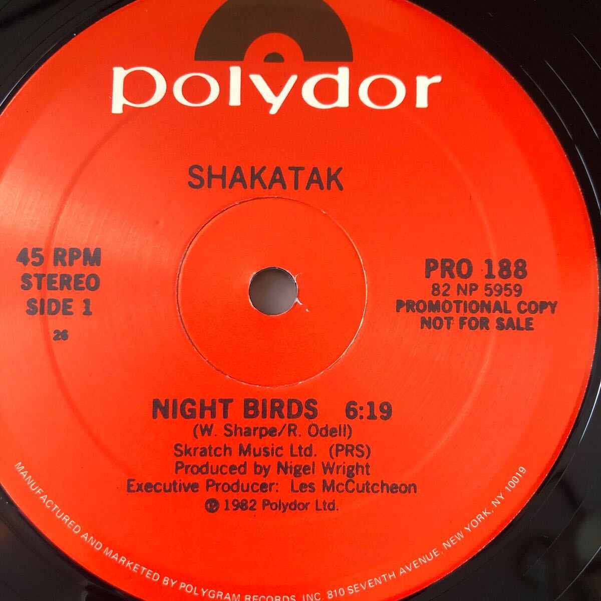 12’ Shakatak-Night Birdsの画像1