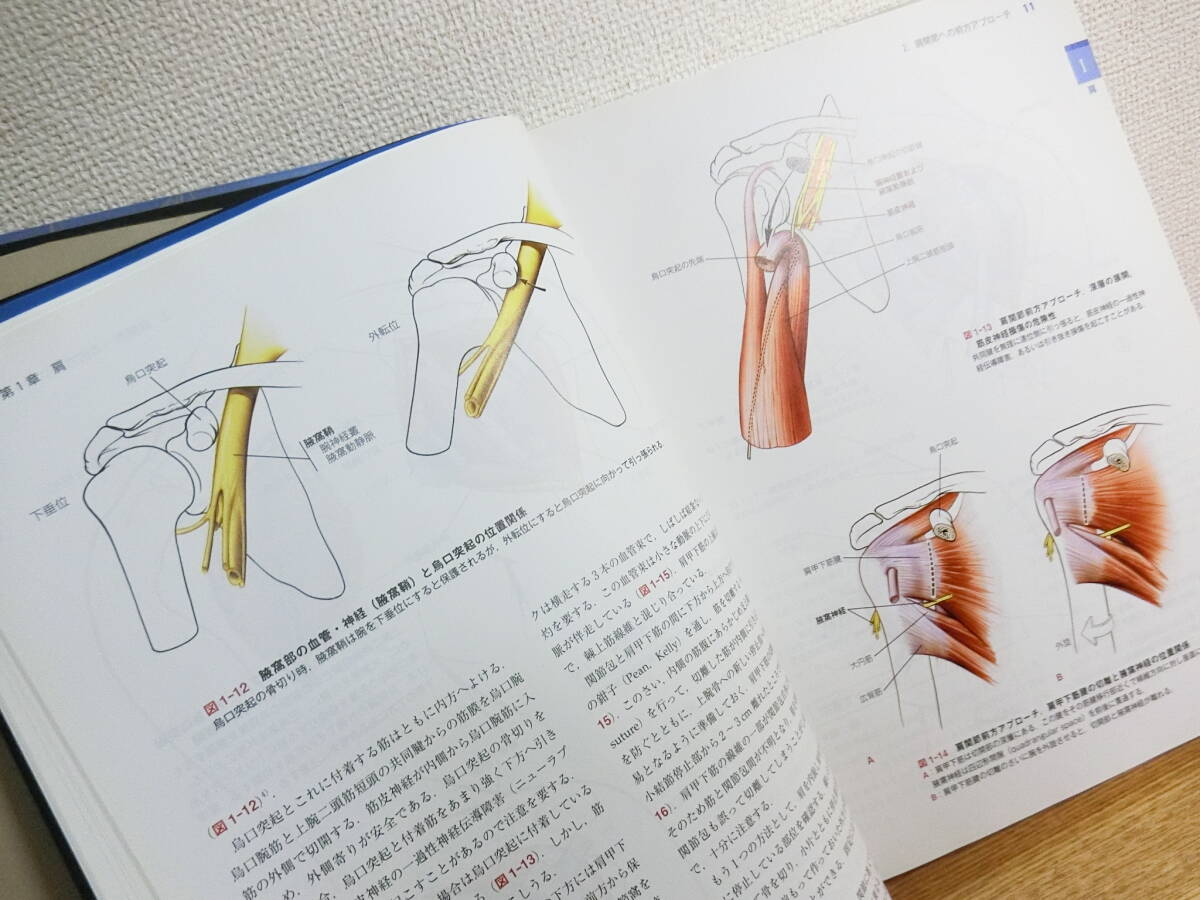 整形外科医のための手術解剖学図説(原書第5版) [単行本 整形外科医のための手術解剖学図説(原書第5版) [単行本