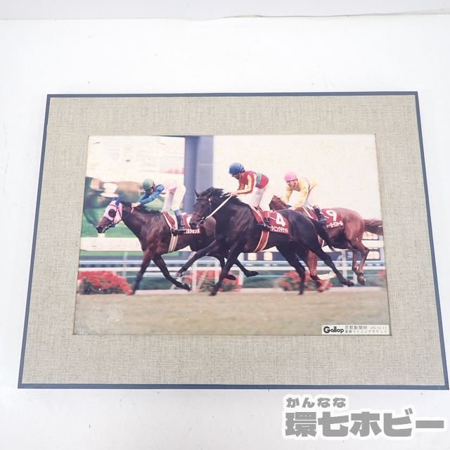 MO32* Heisei era 5 year that time thing weekly gyarop Kyoto newspaper cup ui person g ticket photograph panel / horse racing . mileage horse goods poster sending :-/100