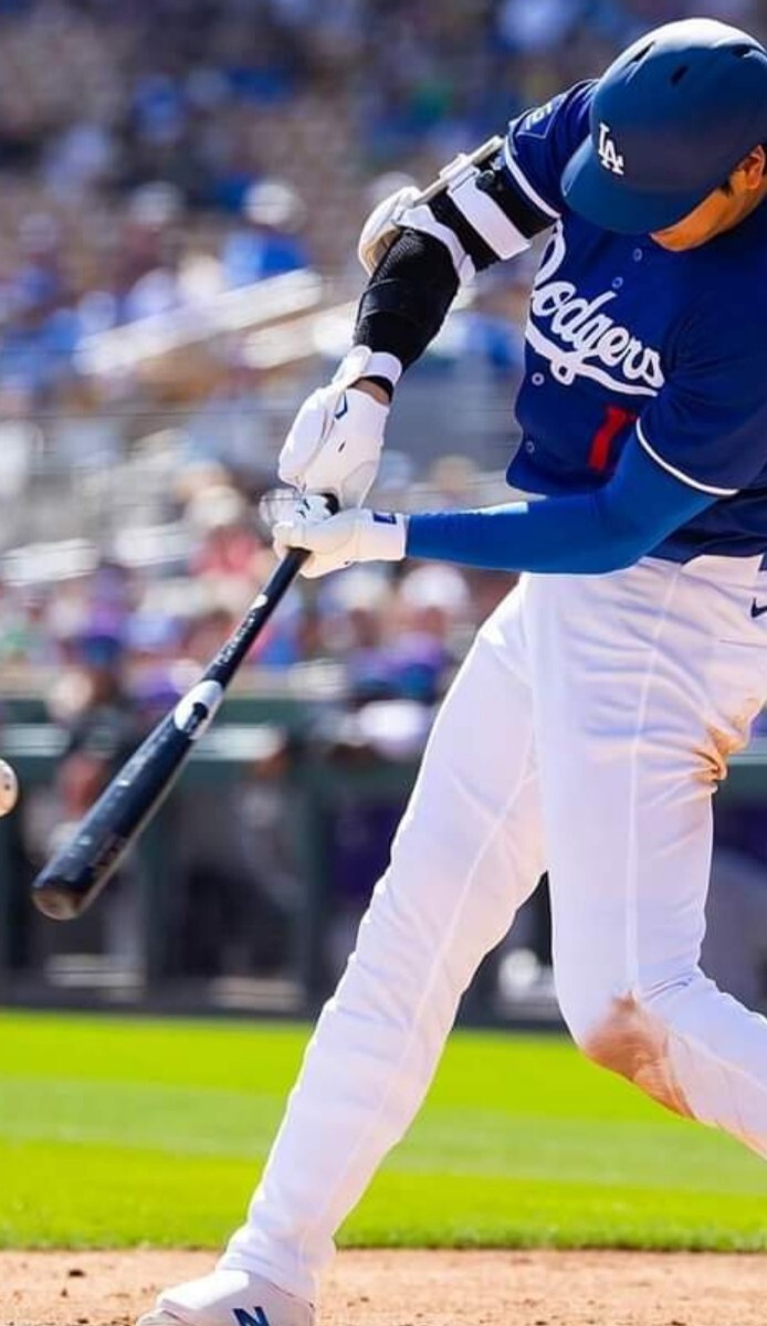 大谷翔平 バット チャンドラー ドジャースの画像9