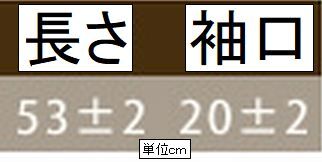 224007ストッキング生地シースルー手袋ハイレグレオタード同素材深灰_画像4