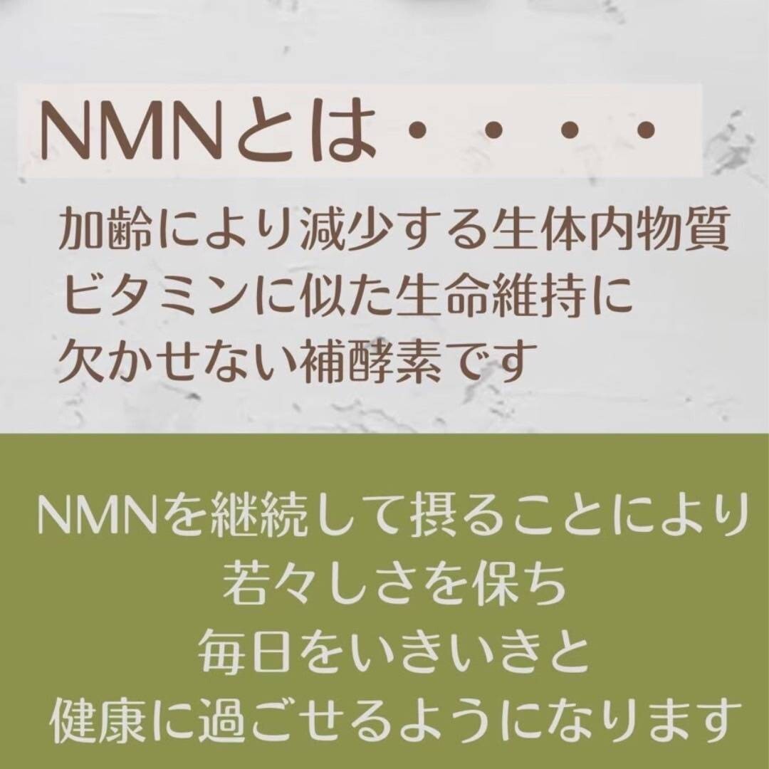 訳あり　NMNサプリ　EVERBEAUTY　NMNPLATINUM_画像4