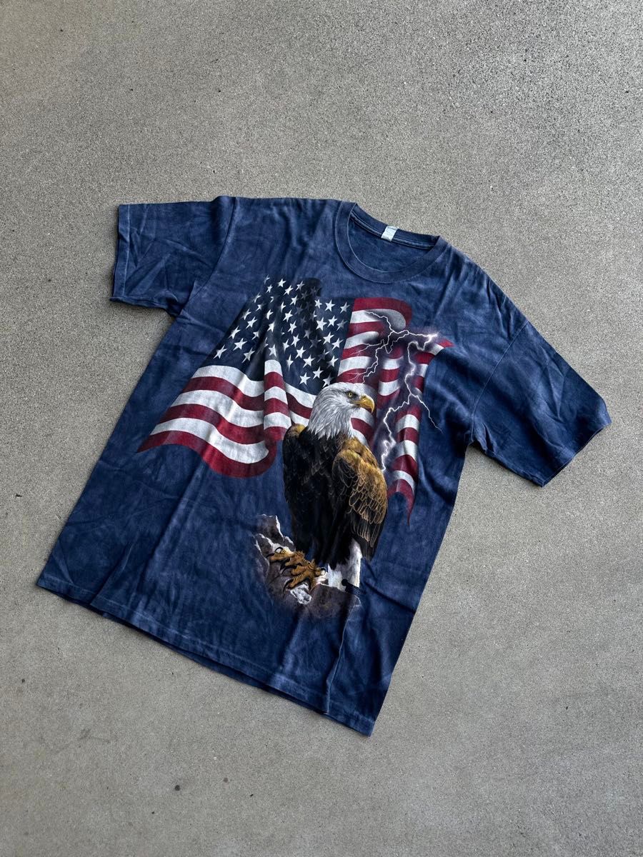 AMERICAN PRIDE 星条旗 鷲Print T-shirts