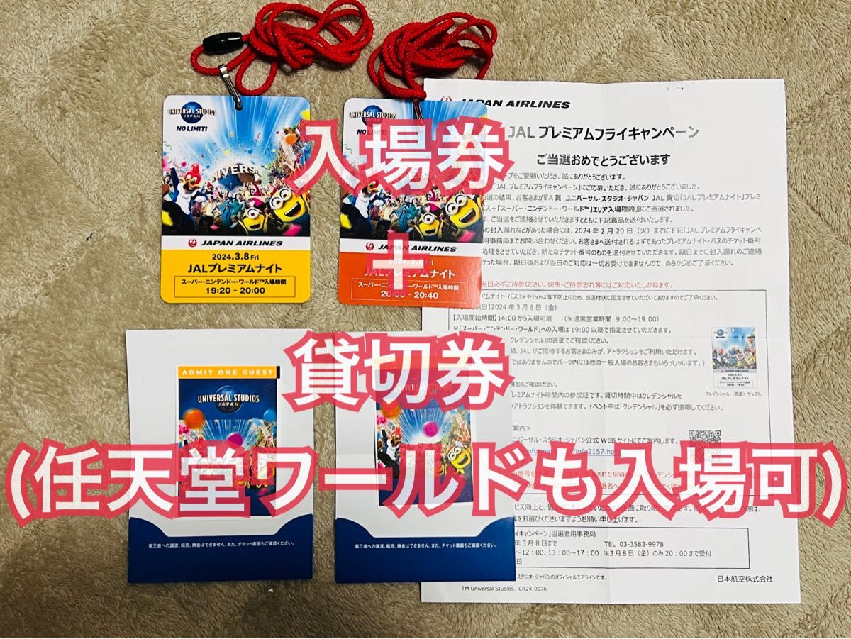 USJ ユニバーサルスタジオジャパン JALプレミアムナイト3月8日 2枚