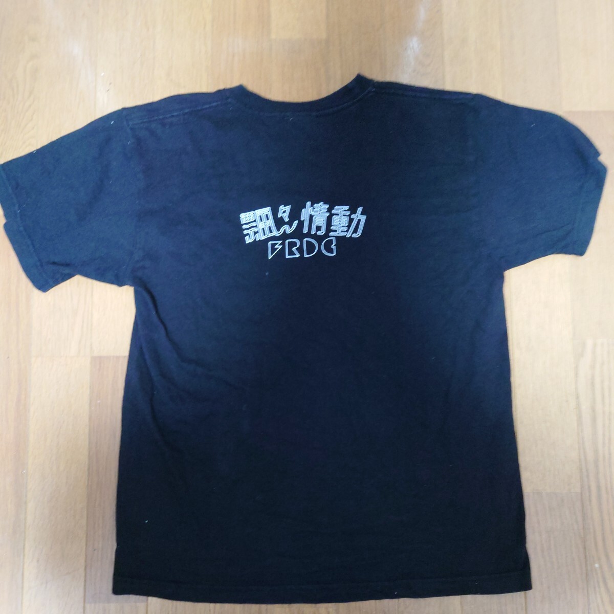 フレデリック 飄々情動 Tシャツ Lサイズ FREDERIC ロックT バンドT_画像4