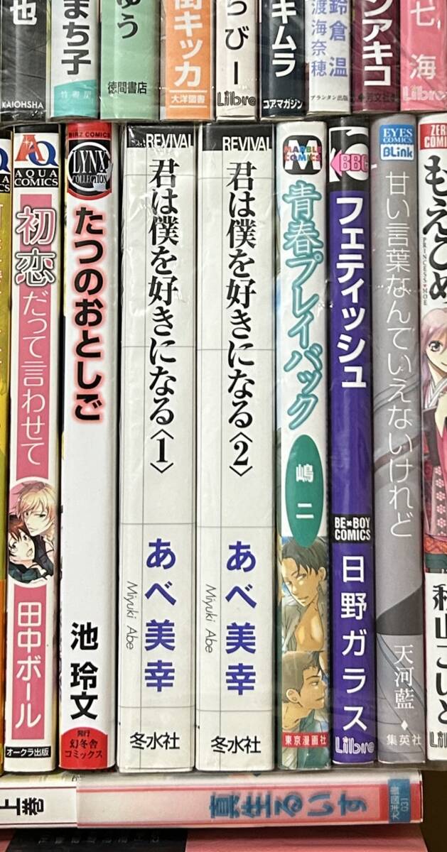 BL系コミックス まとめてセット/あべ美幸 平喜多ゆや たりらびー 祐也 葉月つや子 田中ボール 天河藍 わたなべあじあ他〇_画像6