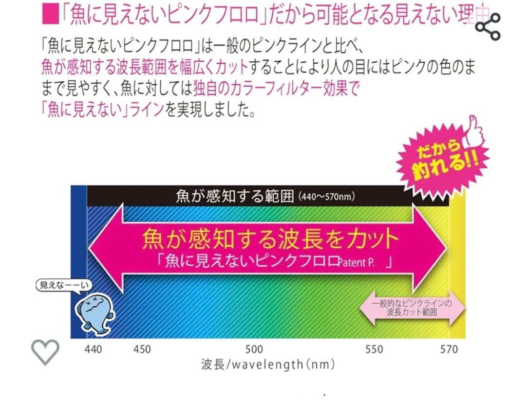 【海上釣堀】水中で消えるハリス使用　仕掛けセット　海上釣り堀_画像4