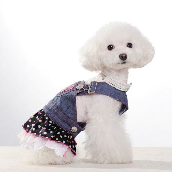 犬 服 小型犬 ジャンパースカート ワンピース スカート フリル デニム Lサイズ L