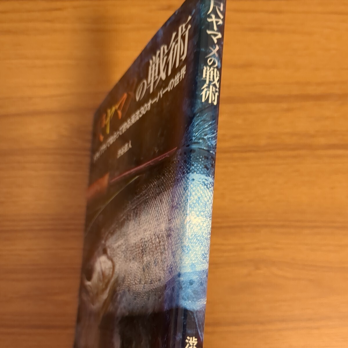 【渋谷直人】尺ヤマメの戦術　ドライフライでねらって釣る渓流30オーバーの世界_画像4