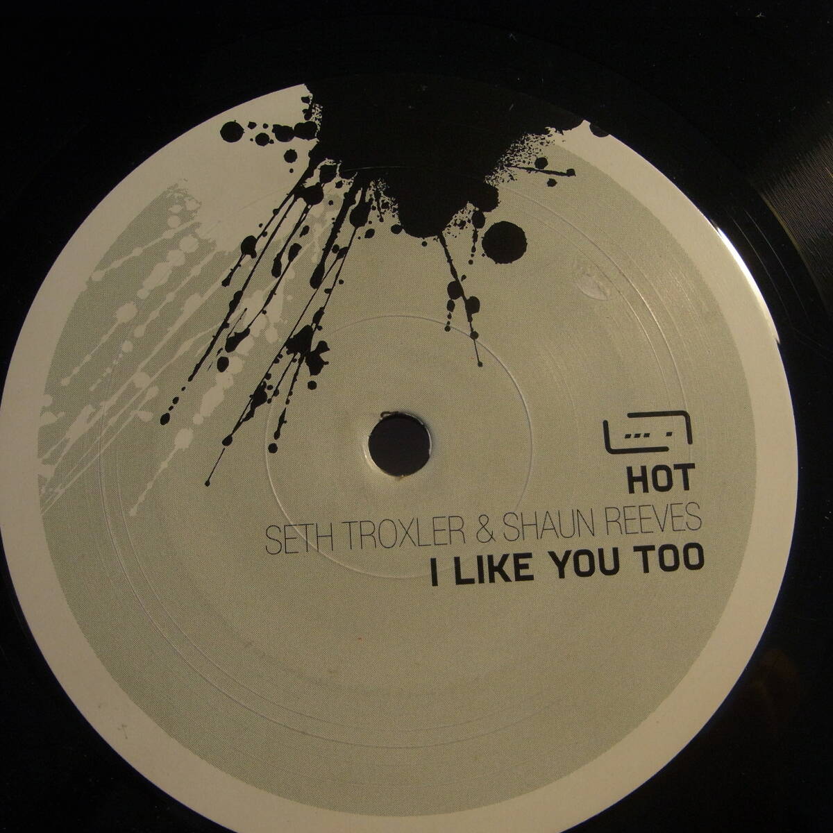 Seth Troxler & Shaun Reeves - Hot - I Like You Too_画像1