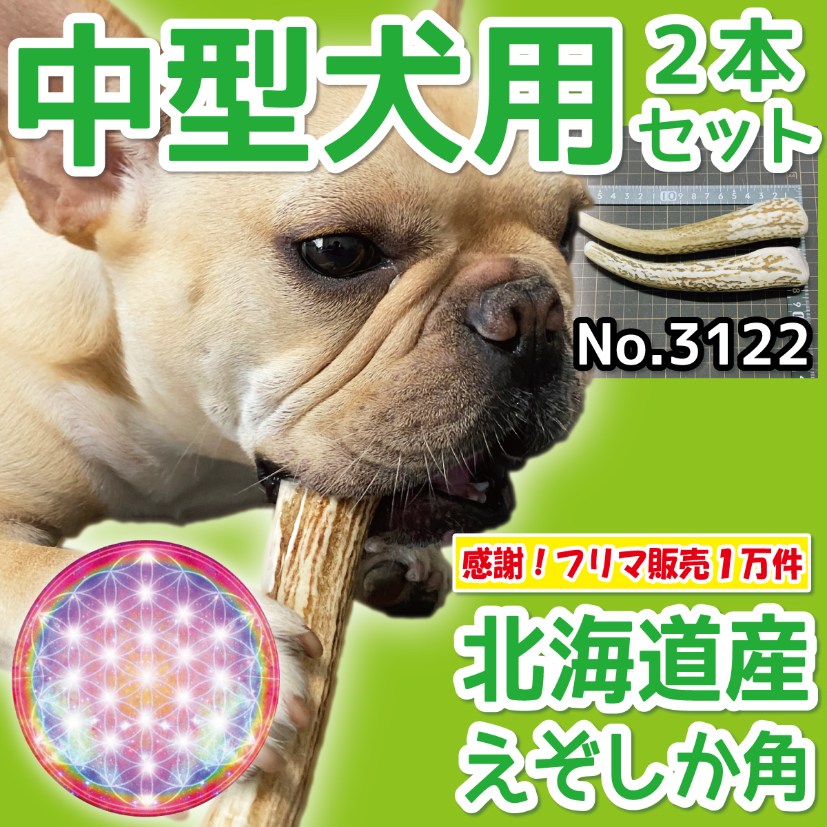 ■ 中型犬用 ■ 2本セット ■ 天然 無添加 北海道産 蝦夷鹿の角 ■ 犬のおもちゃ ■ 鹿角 エゾシカ ツノ 鹿の角 犬 31223_画像1