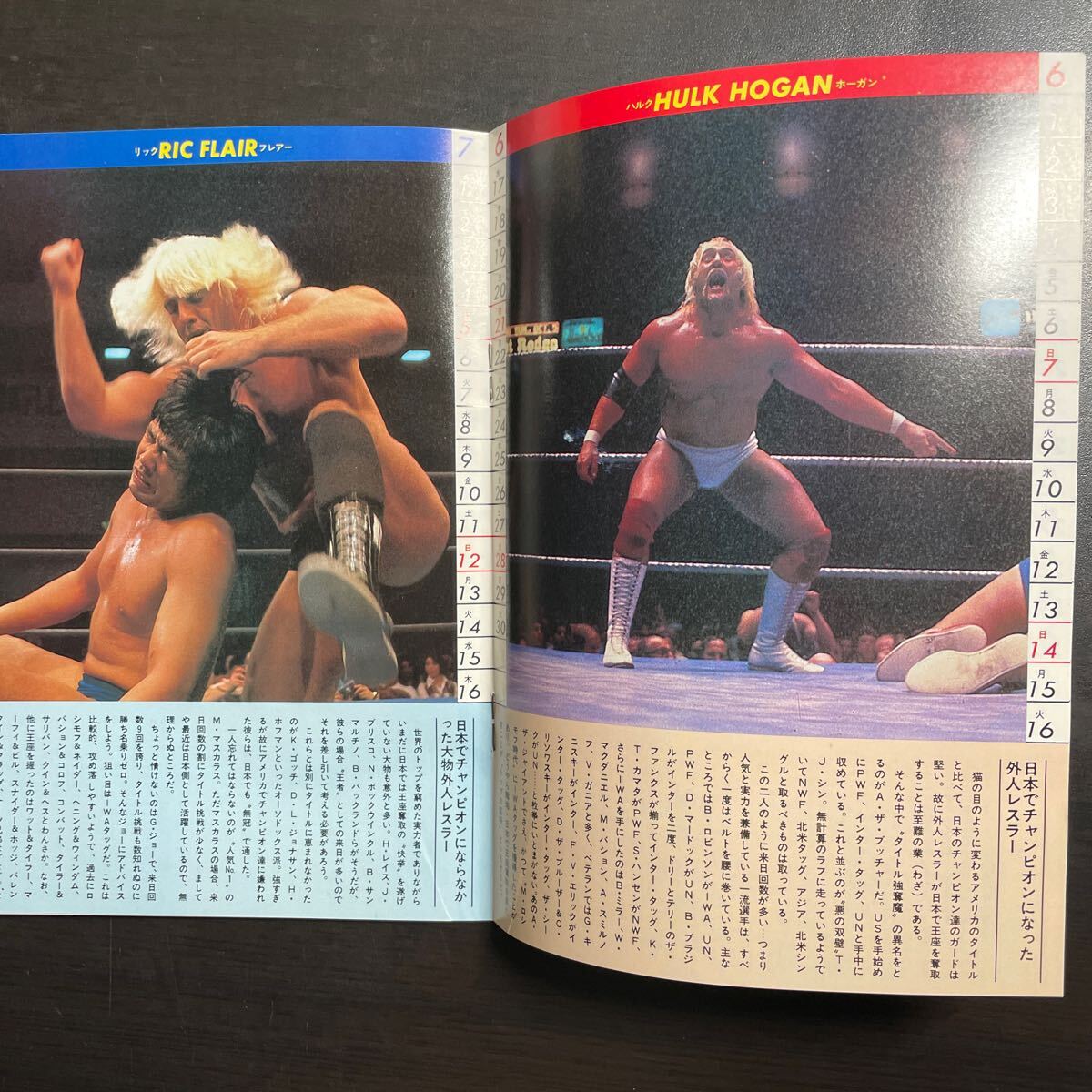 *ベースボールマガジン社　プロレス　昭和56年1月号_画像7