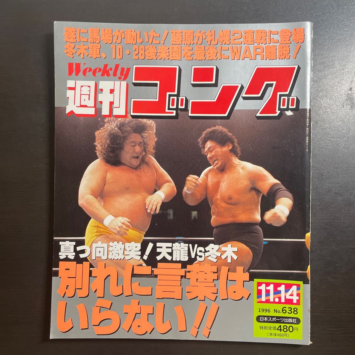 週刊ゴング 1996年11.14 No.638の画像1