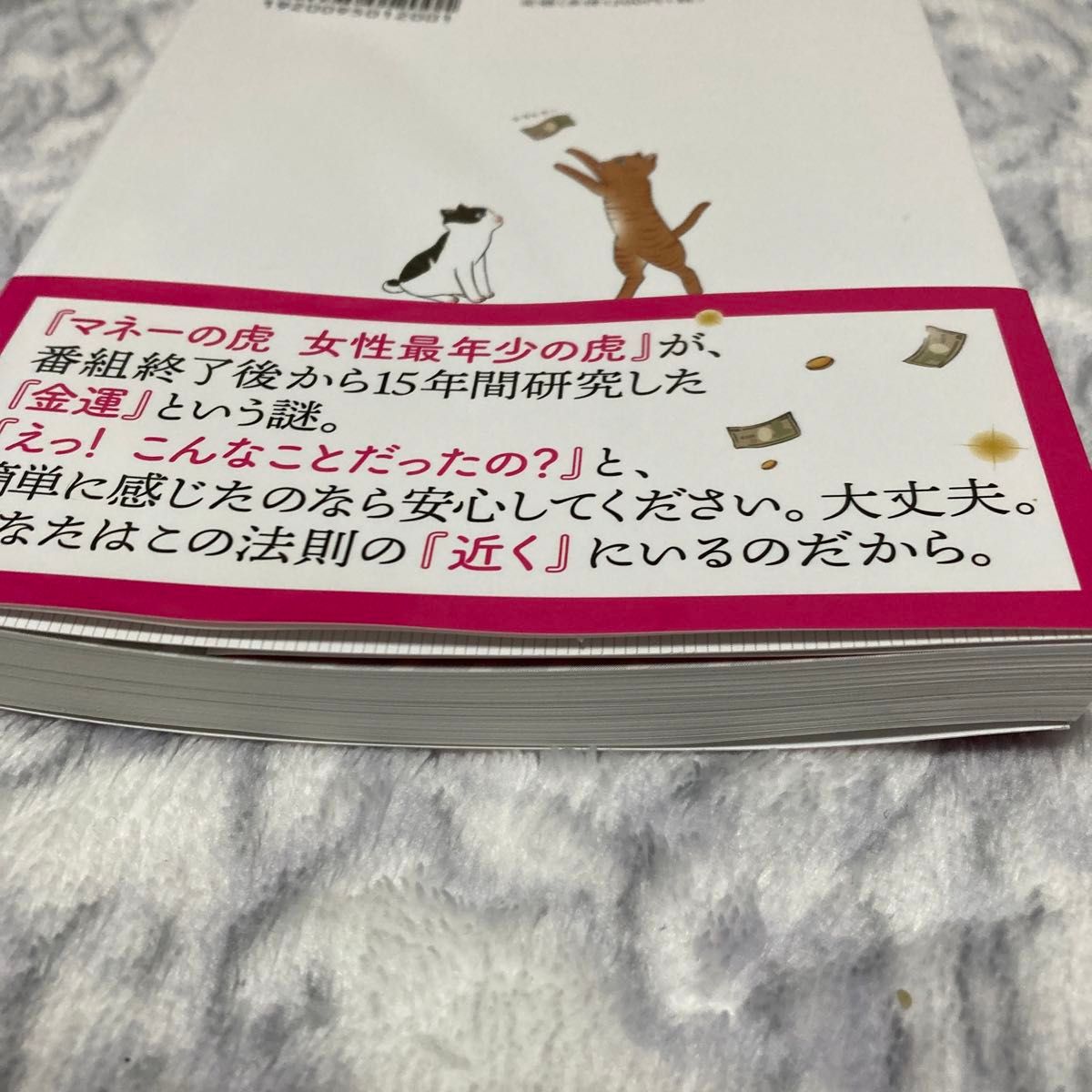 お金って不思議。金運はこうして動き出すの　ミラクルマネーの法則 尾崎友俐／著