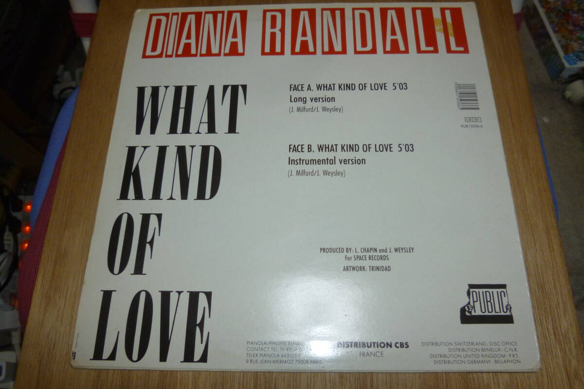  12” DIANA RANDALL // WHAT KIND OF LOVE の画像3