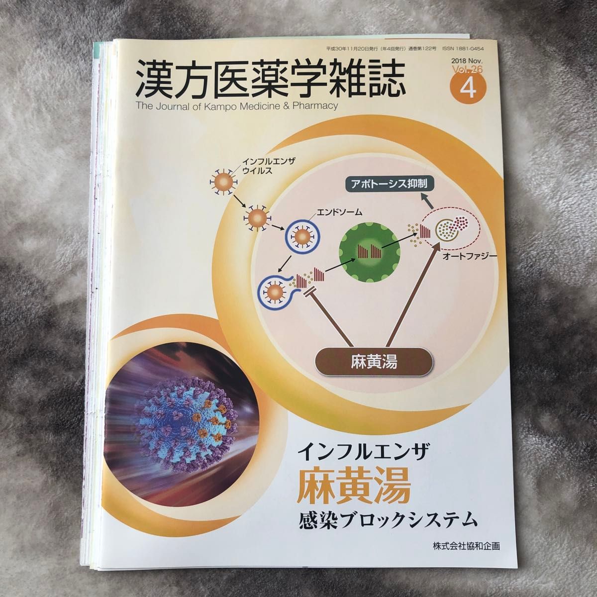 漢方医薬学雑誌　9冊セット