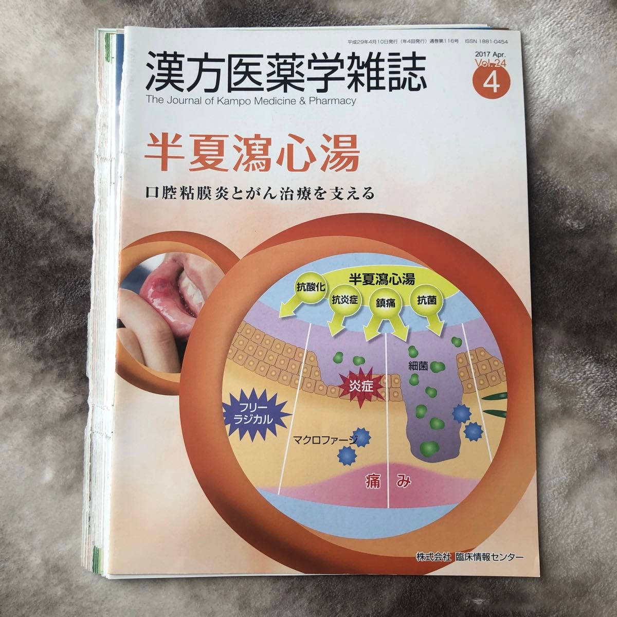 漢方医薬学雑誌　9冊セット