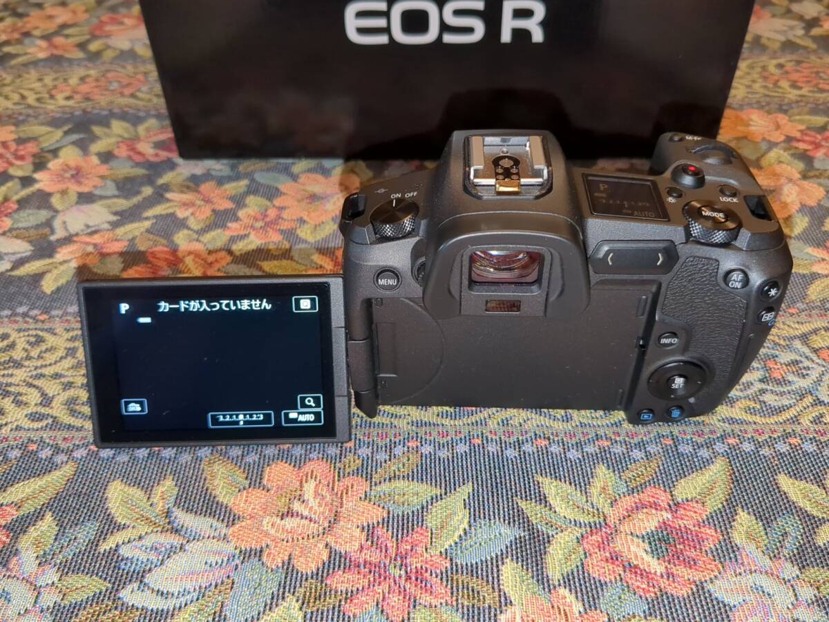 EOS R　ワンオーナー美品　使用頻度少_画像9