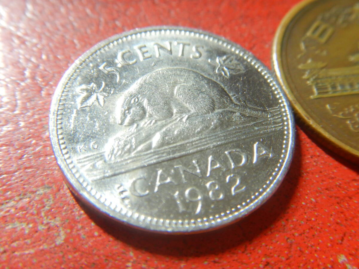 外国・カナダ／５セント・ニッケル貨（1982年）　240306_画像3