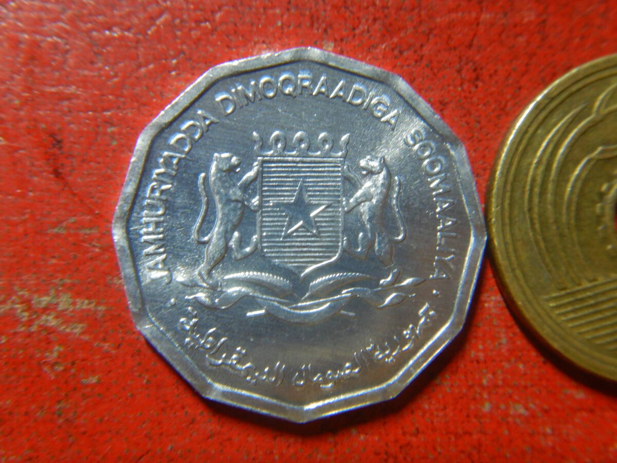 外国・ソマリア／１０センチ・アルミニウム貨：FAO（1976年） 240325の画像2