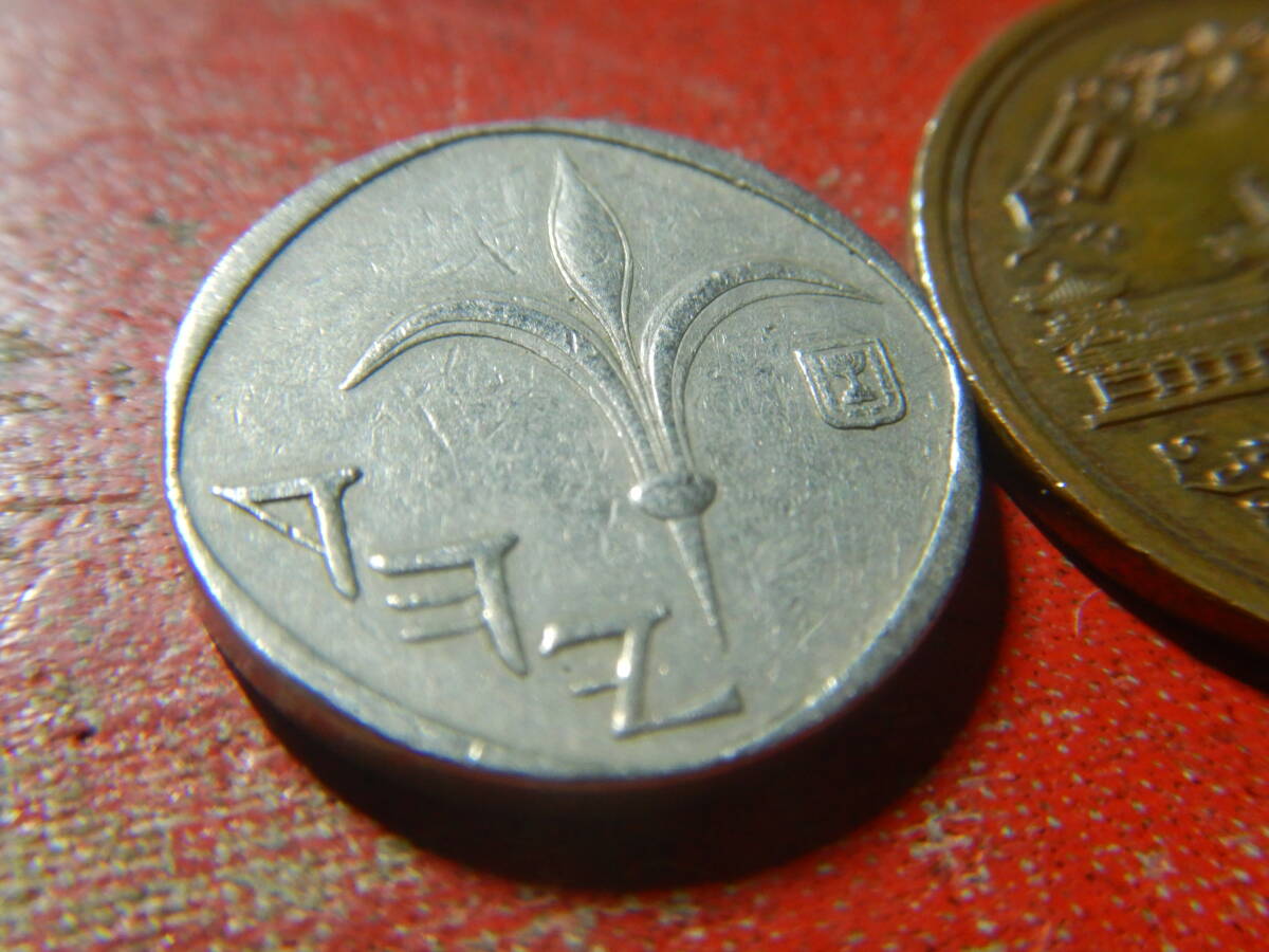 外国・イスラエル／１新シュケル白銅貨（1988年） 240328の画像3