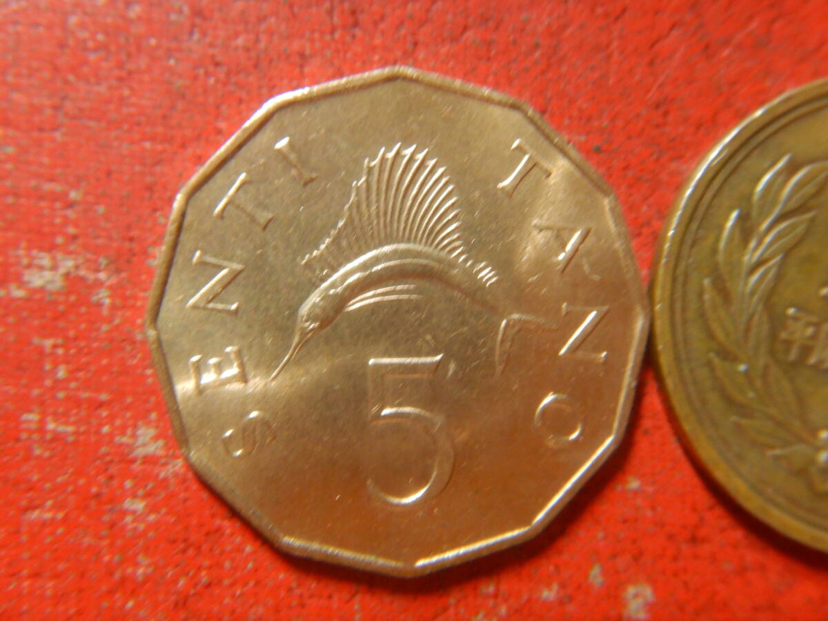 外国・タンザニア／５センチ青銅貨（1966年） 240331の画像2