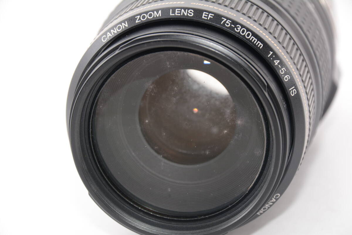 【外観特上級】Canon ズームレンズ EF 75-300mm F4-5.6 IS USM キヤノン　#a12230_画像5