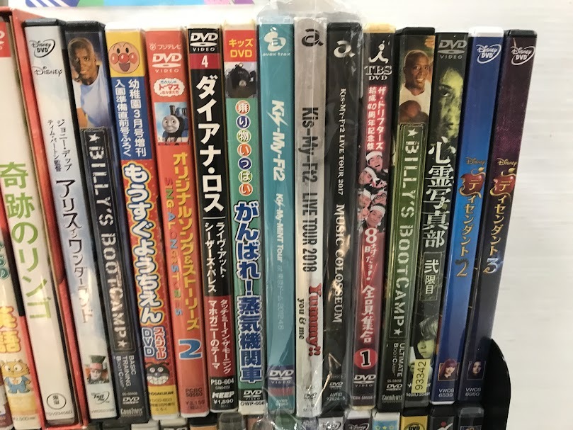 P/DVD/まとめ/ビリーズブートキャンプ/エクザイル/ワンピース/ディセンダント/ディズニー/アリスインワンダーランド/動作未確認/P2.13-84鳥の画像4