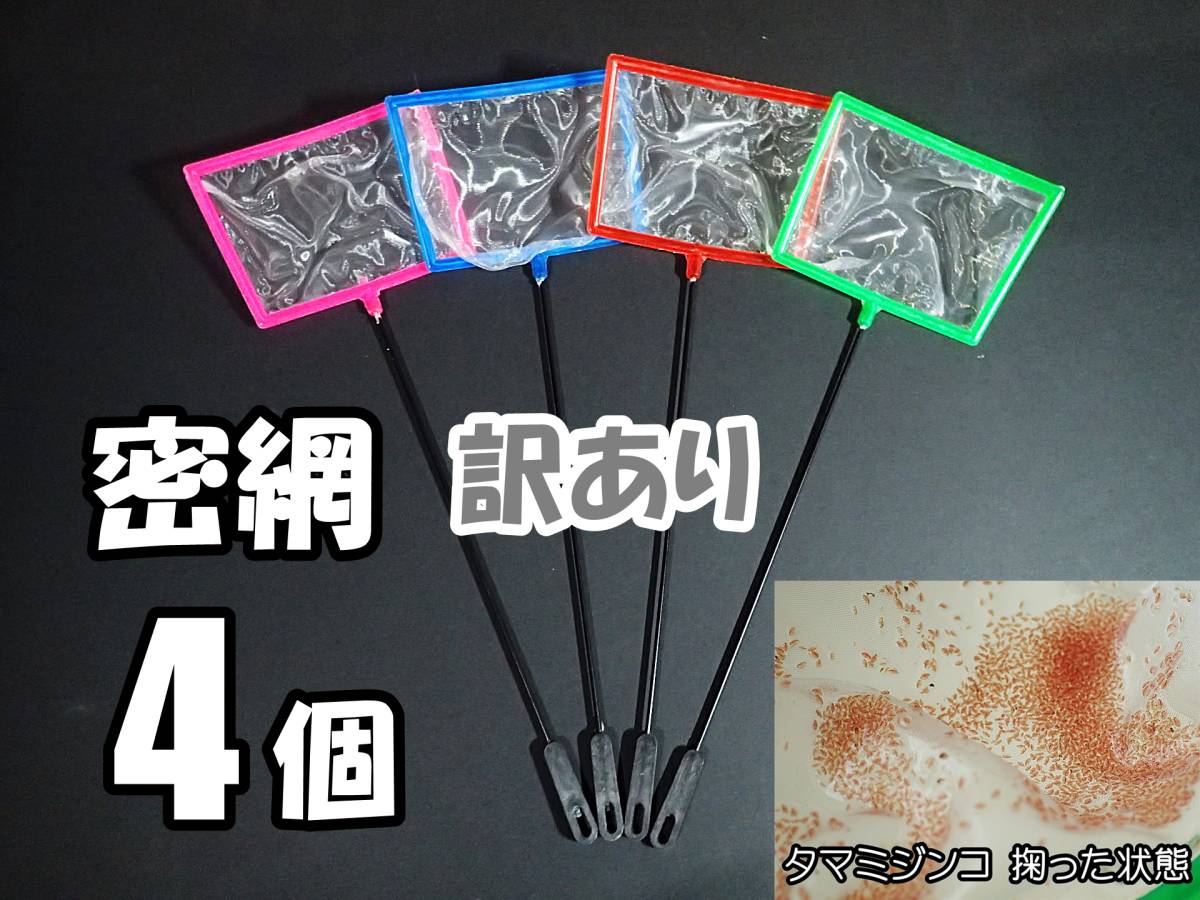 [ with translation ] including carriage . net net 4 piece rectangle prompt decision aquarium supplies mi Gin kome Dakar needle . to (b line shrimp * elephant rim si is .. not )