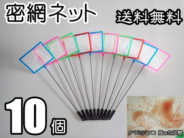 【送料無料】密網  10個  角型  水槽用品  即決  ミジンコ メダカ針子 シュリンプ等用に ゾウリムシは掬えません ネット 10本の画像1