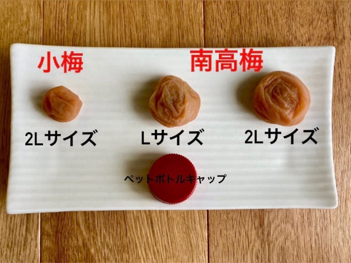 紀州南高梅 無添加梅干し すっぱい白干し梅 L家庭用250g①