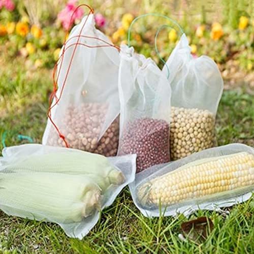 KINOKINO fruit protection sack fruits insecticide net kind inserting bird .. net protection from birds (15cm × 10cm 50 pieces set )