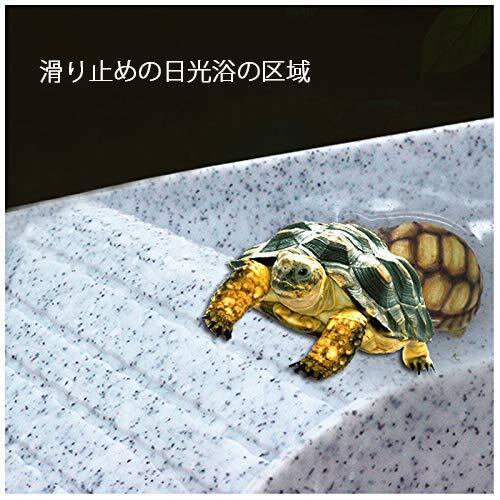  tea mi reptiles turtle box turtle box ta-toru reptiles terrarium breeding box aquarium resin made white 
