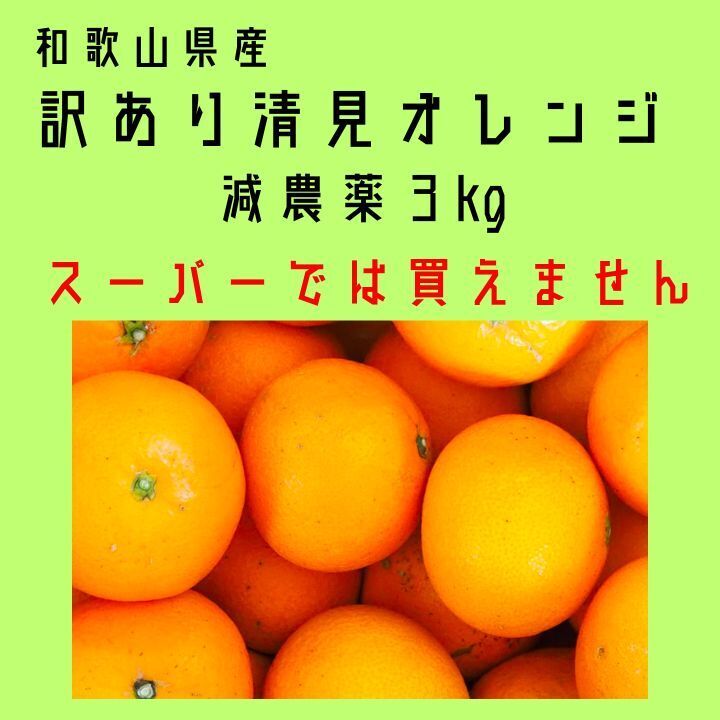 百貨店では買えない 甘すぎる B級 ほとんど無農薬 清見オレンジ 3kg 和歌山県産 きよみの画像1