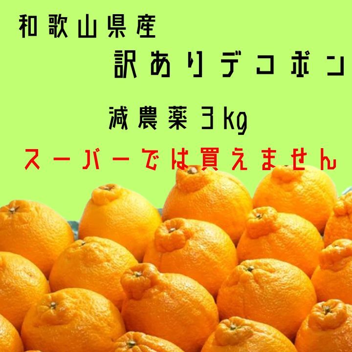 最後の案内 百貨店では買えない 甘すぎる B級 ほとんど無農薬 デコポン 3kg 和歌山県産 不知火の画像1