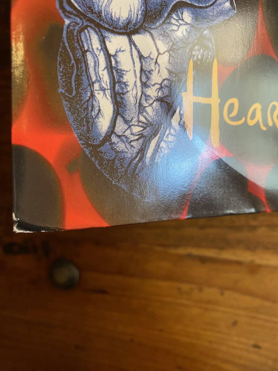 【代理出品】Nirvana「Heart-Shaped Box」UK盤 12inch Punk Alternative Grunge パンク オルタナ グランジ ニルヴァーナ カート・コバーン_画像7