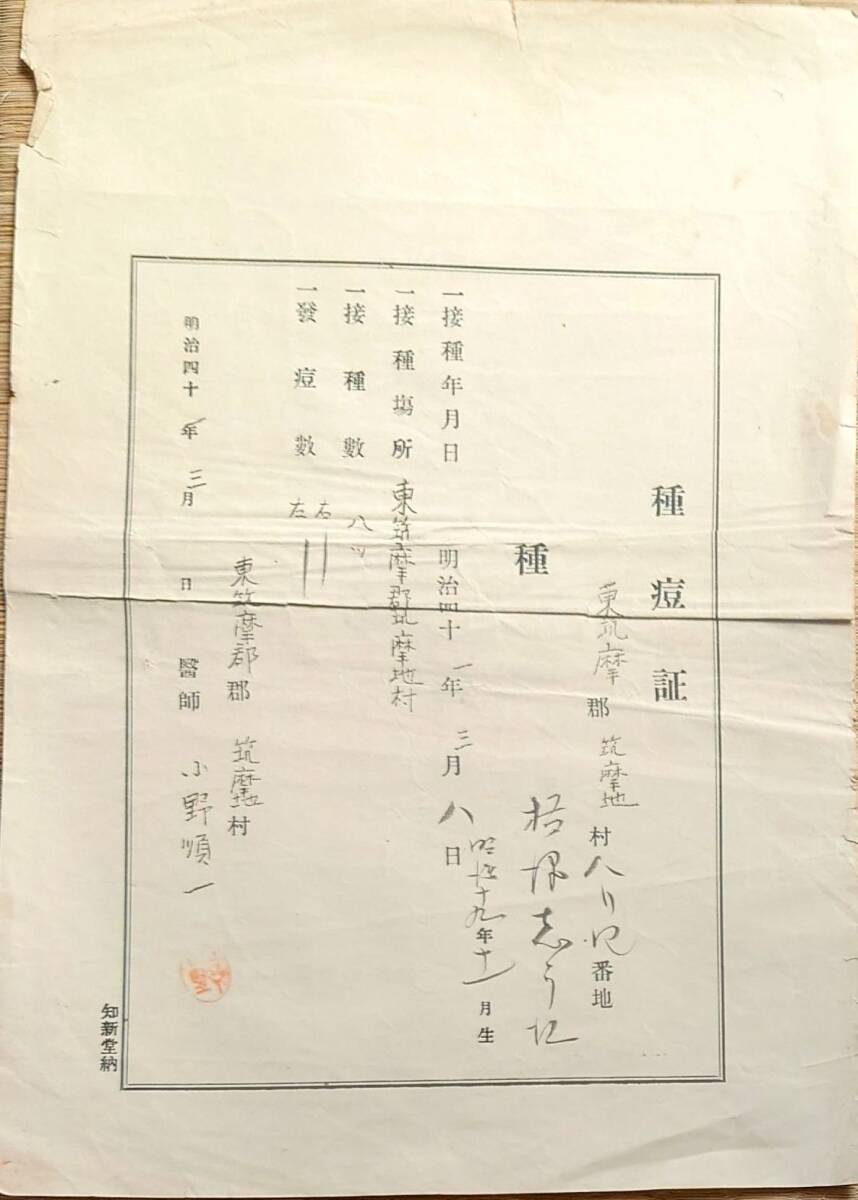 f24030744〇種痘証 東筑摩郡 長野県 明治４１年〇和本古書古文書_画像1