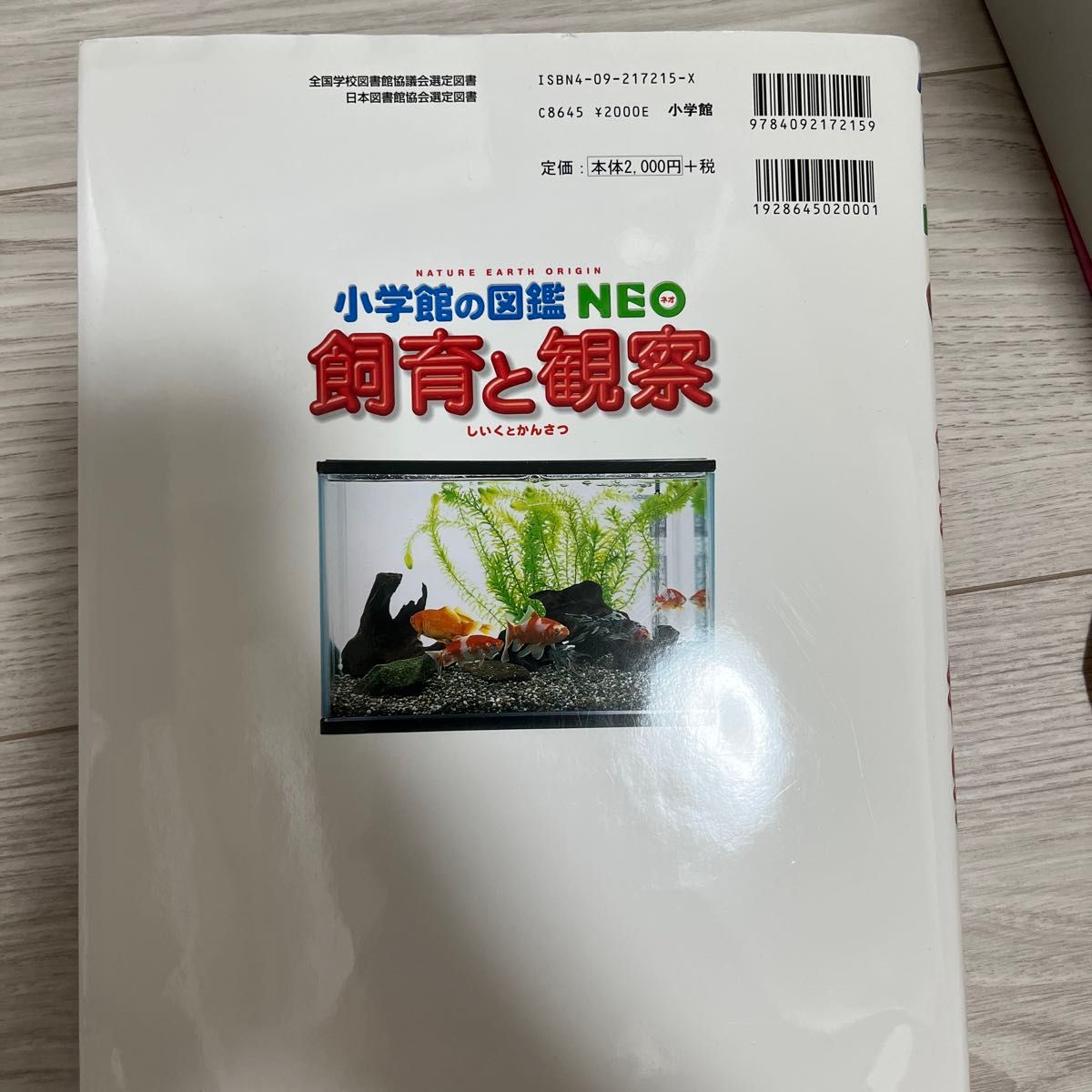 飼育と観察 （小学館の図鑑ＮＥＯ　１５） 筒井学／〔ほか〕指導・執筆・監修　阿部正之／ほか撮影